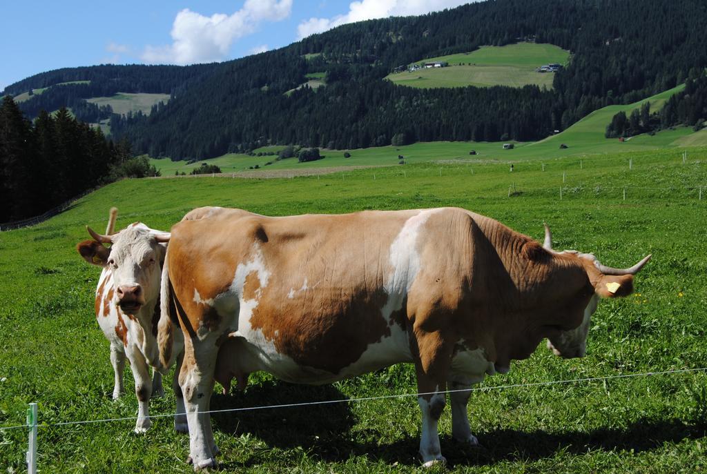 Apartmán Trogerhof Toblach Exteriér fotografie